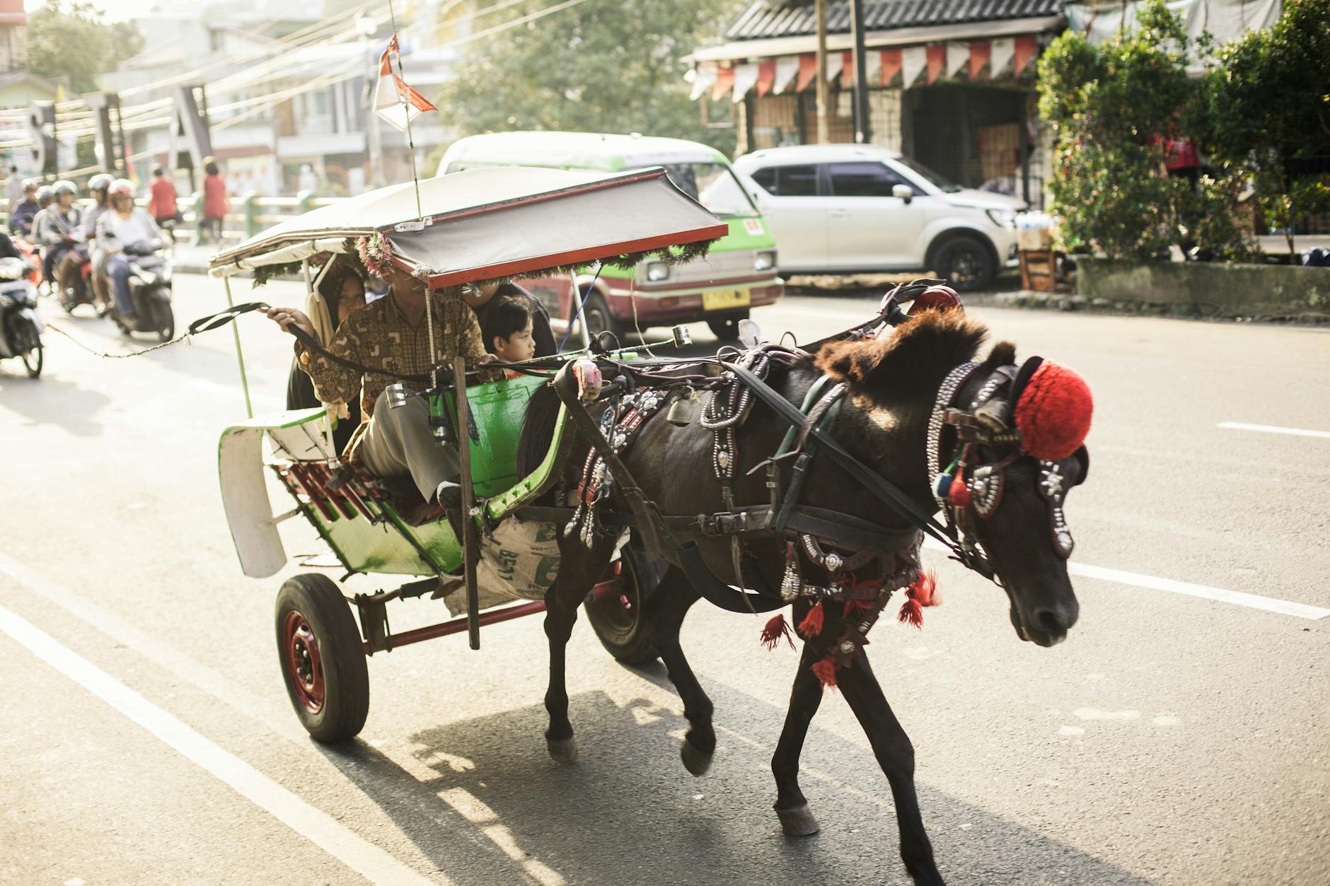 woman and child riding black horse carriage