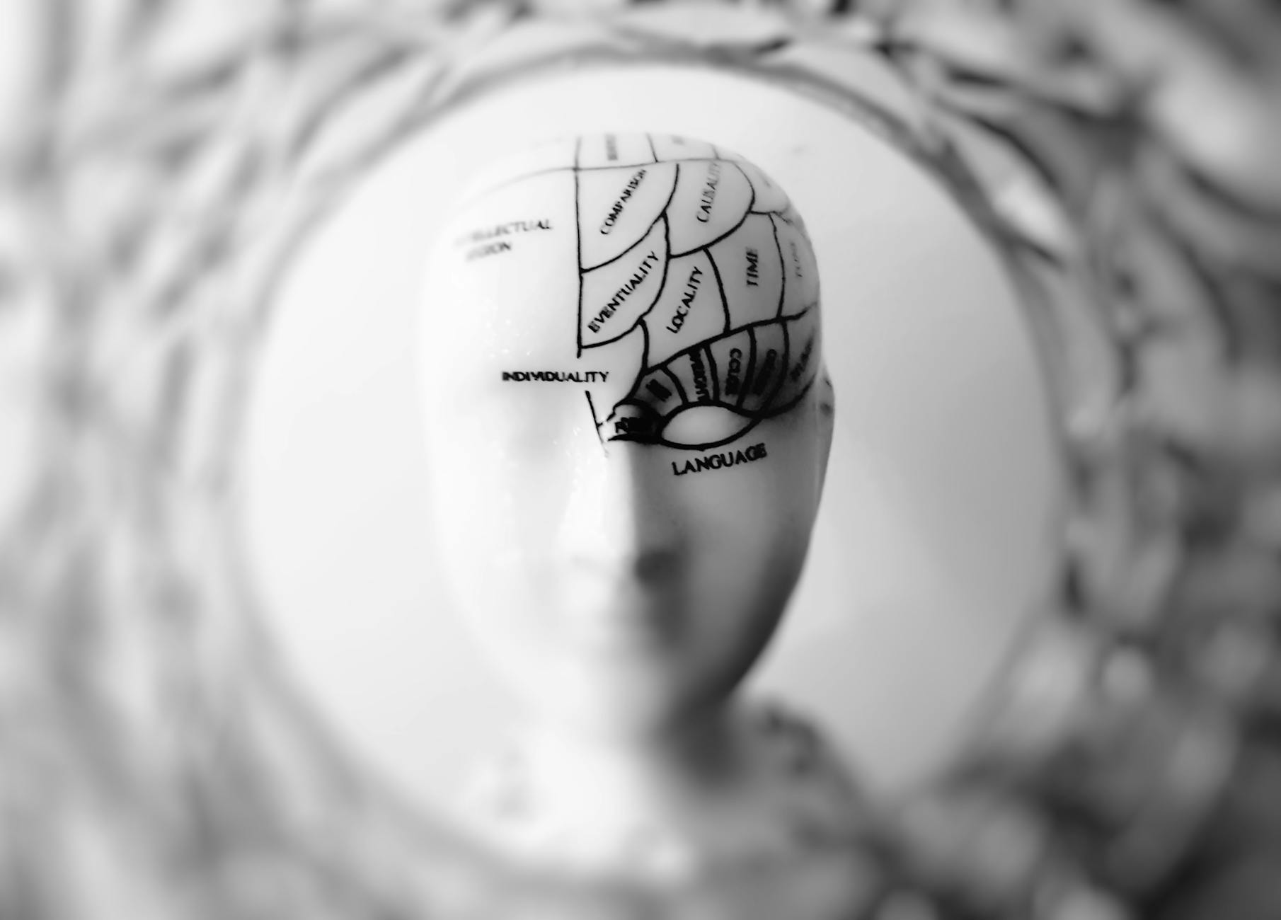 AI 5